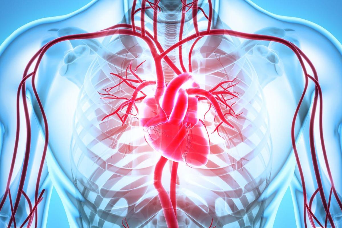 Adventist Health Glendale Completes 300th Watchman Procedure