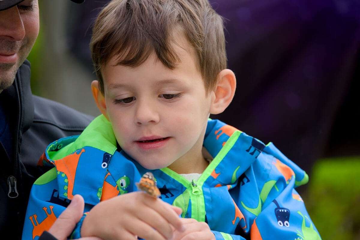 2025 Butterfly Release
