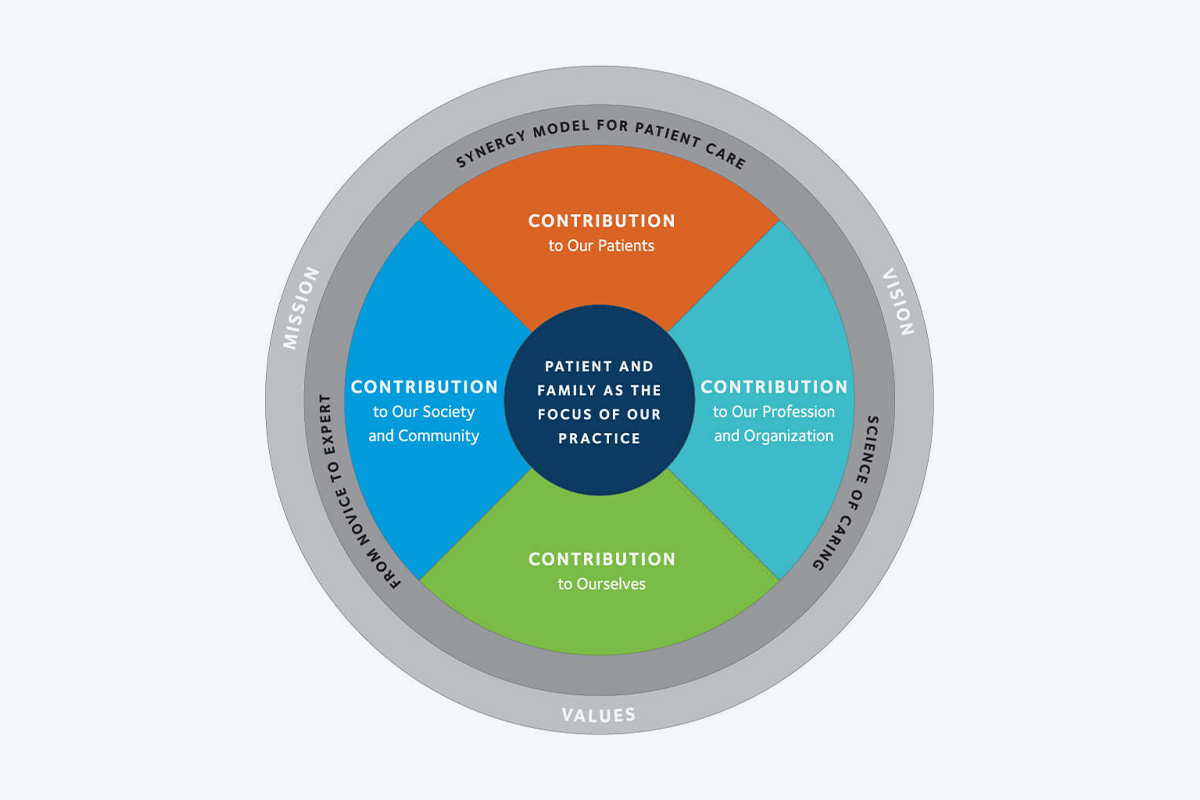 Professional Practice Model